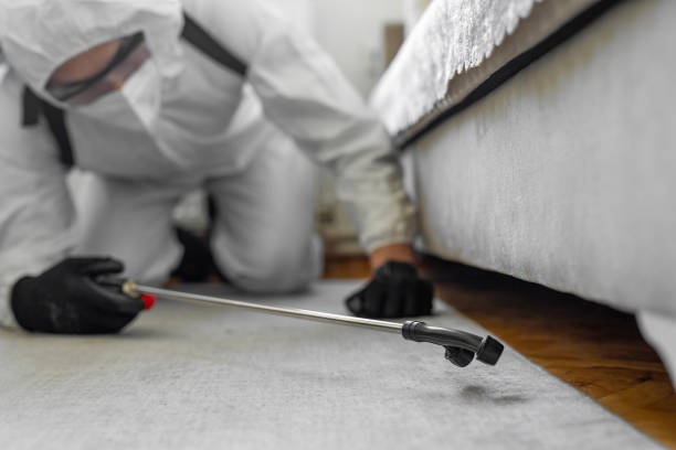 Professional Bed Bug Control technician working in Grand Blanc, MI