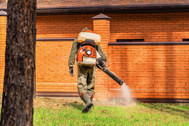 Trusted Emergency Pest Control service in Grand Blanc, MI - Nex Pest Control